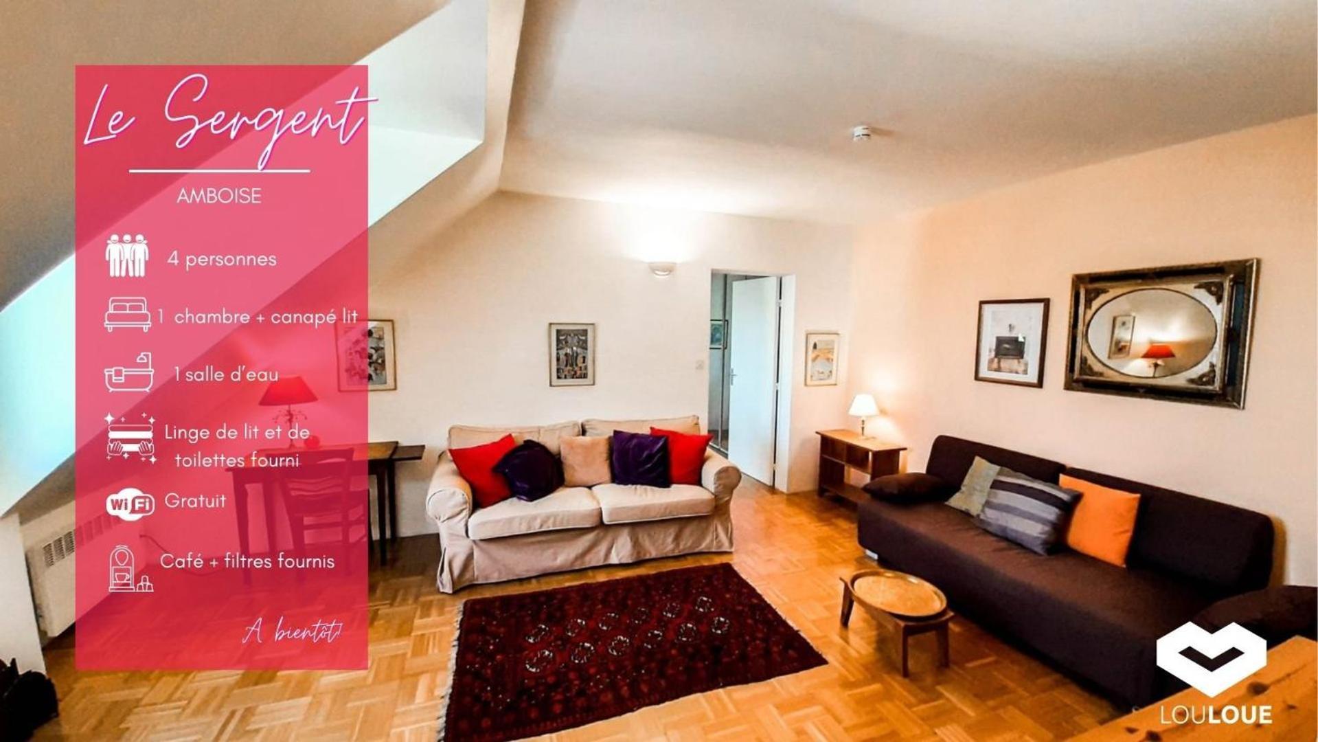 Spacious T2 Apt In City Center. Amboise Exterior photo
